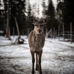 簡単なゲームで大丈夫。まず考える