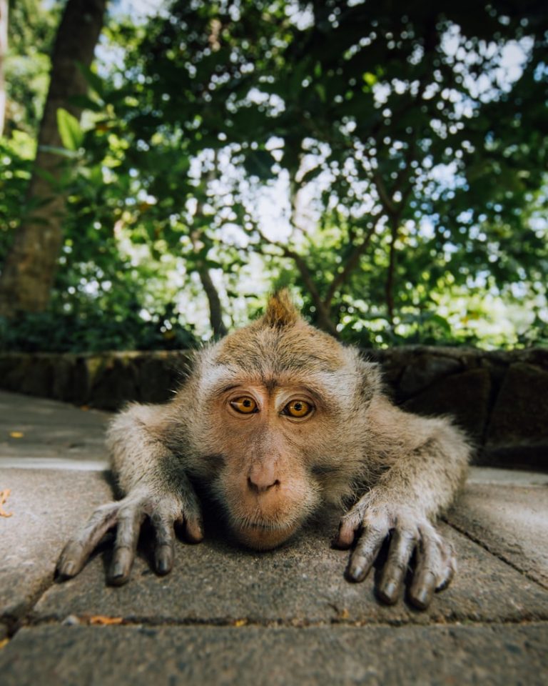 英語も当然やったほうがいい