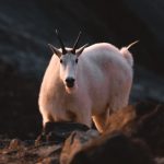 プログラミングは面白い！で攻めていきましょう