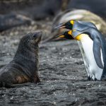 簡単シンプルなのがダメなのか？