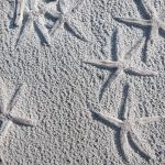 プログラミングにお金を払うということ