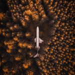 まわりはどうにもならないもの