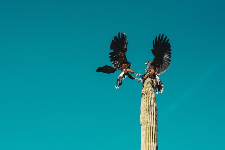 努力する根性は大事