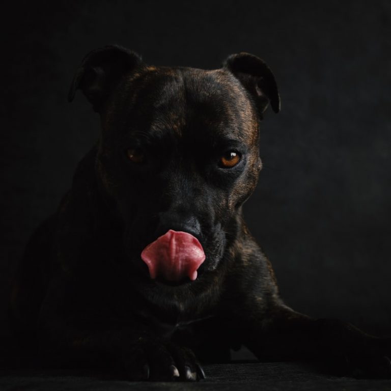 トライしてますか？