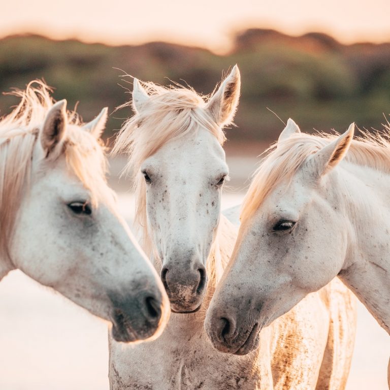 勉強というものが何か？